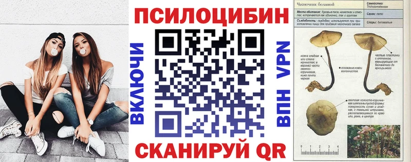 продажа наркотиков  Бердск  МЕГА   Галлюциногенные грибы мицелий 